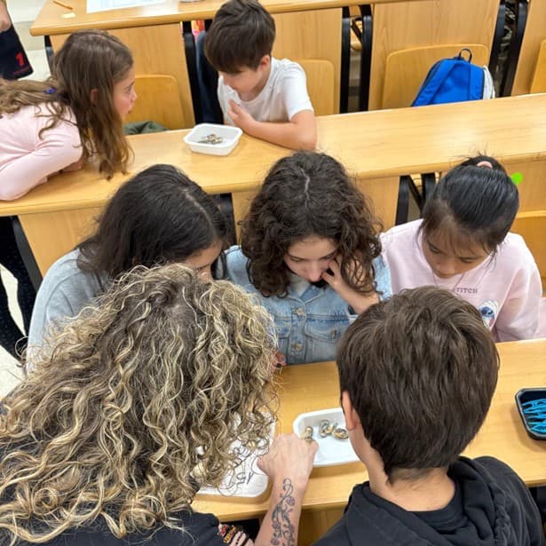Charla de Hatchery