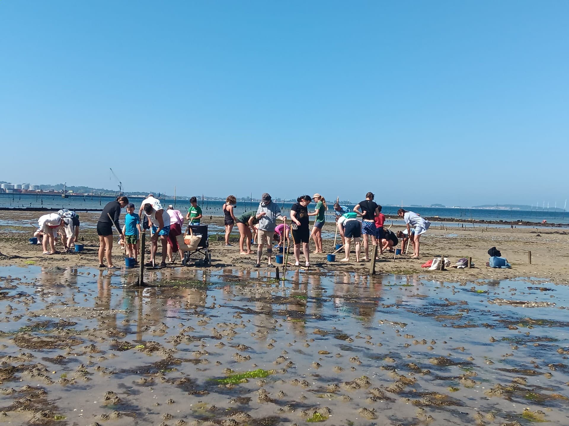 Saber más sobre talleres de marisqueo en Vilagarcía