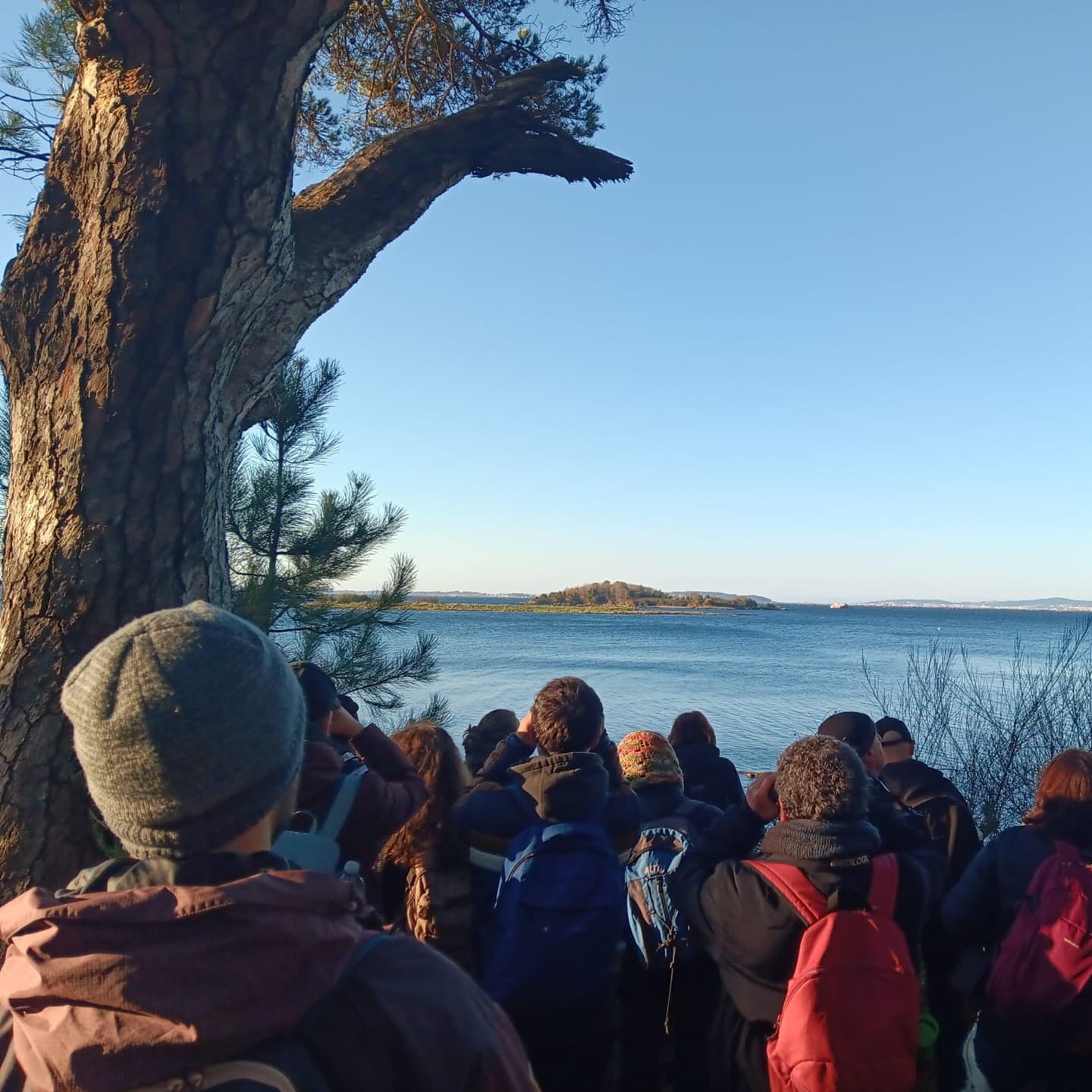 Rutas guiadas en Vilagarcía de Arousa