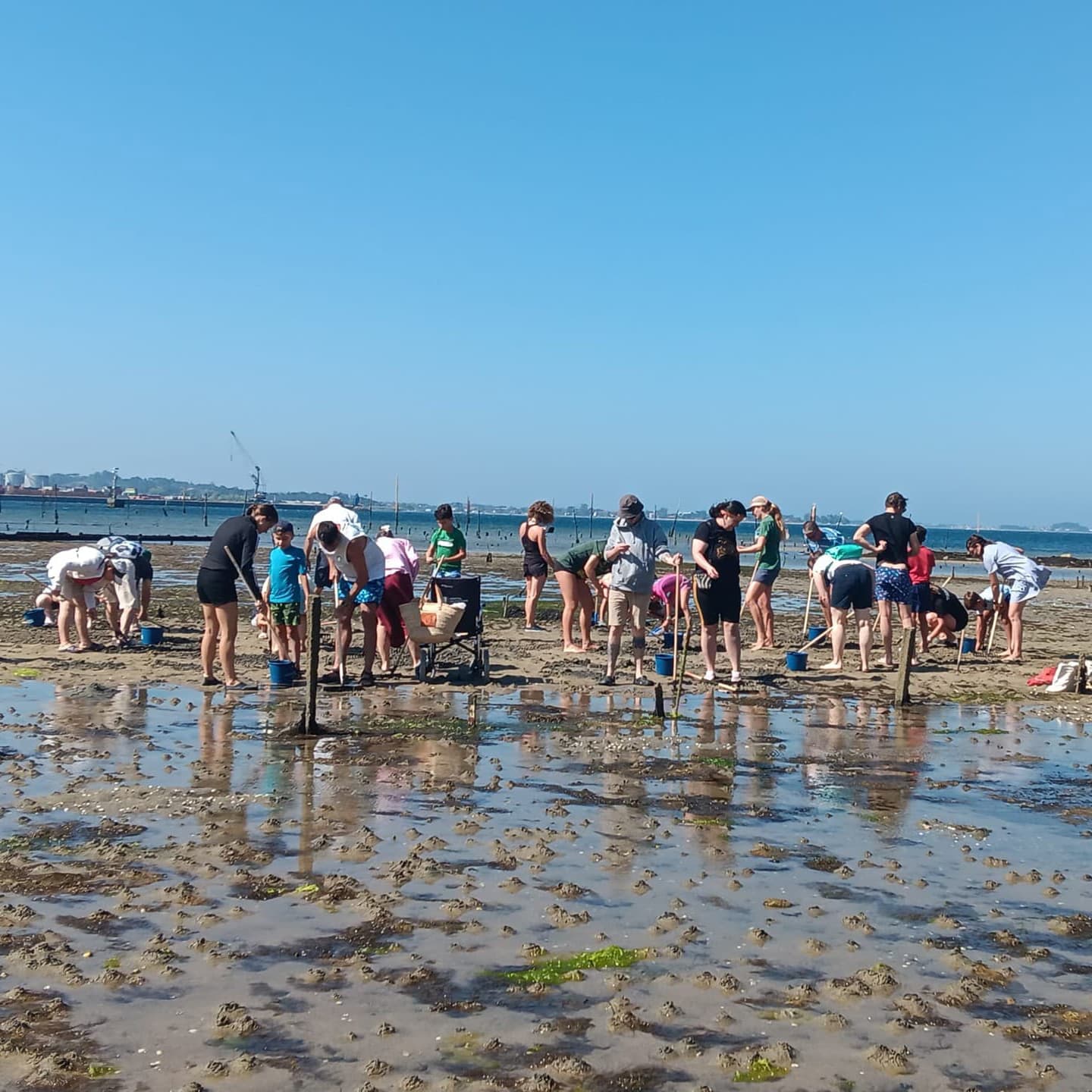Marisqueo a pie en Vilagarcía