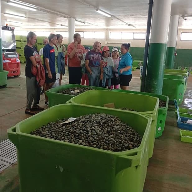 Taller inclusivo en Vilagarcía