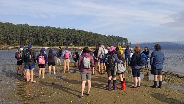 Visita isla Cortegada en Vilagarcía