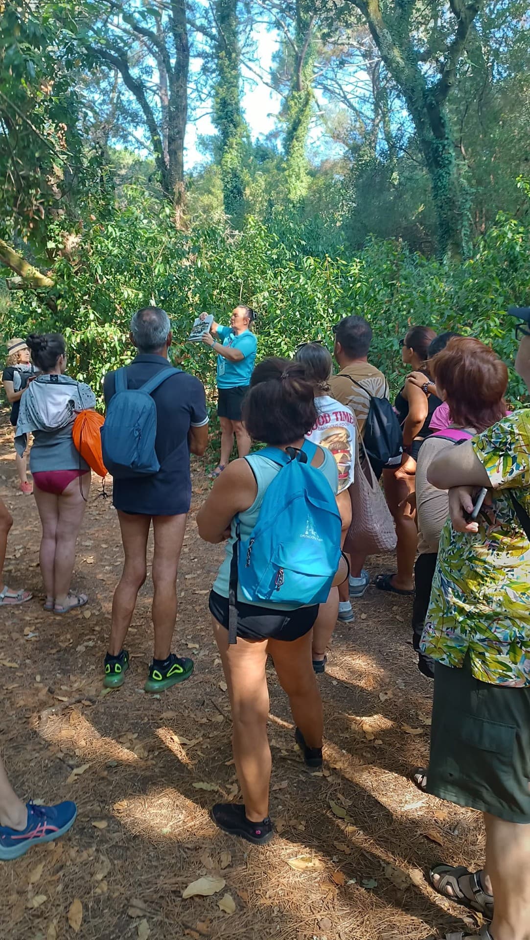 Visita guiada en Vilagarcía